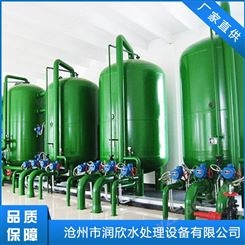 江苏混合离子交换器 定制生产 钠离子交换器 润欣水处理厂家