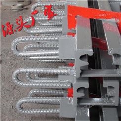重庆GQF-C80型桥梁伸缩缝+F60型桥梁伸缩缝/桥泽生产
