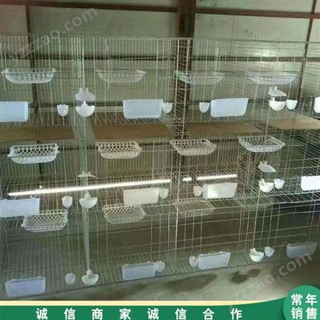 市场供应 三层肉鸽养殖笼 4层16位鸽笼子 配对繁殖鸽笼