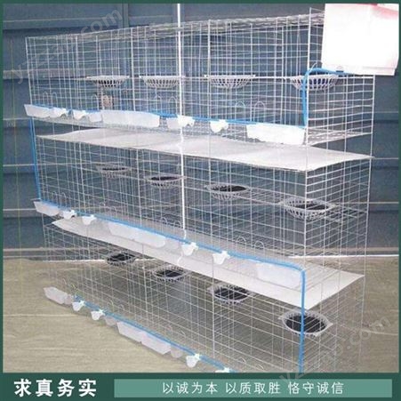 三层镀锌鸽笼 广式白鸽笼 养殖场鸽笼 出售价格