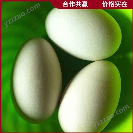 白条鸽鸽蛋 落地王鸽蛋 散养杂粮鸽蛋 出售厂家