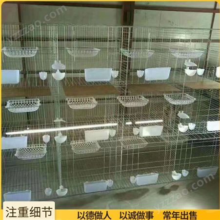 肉鸽种鸽笼子 16位农用鸽笼 不锈钢鸽子笼 出售供应