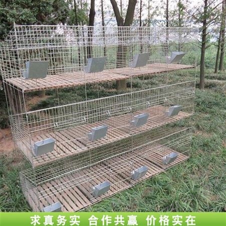养殖场家禽笼 折叠式兔笼子 青年兔子笼 常年供应