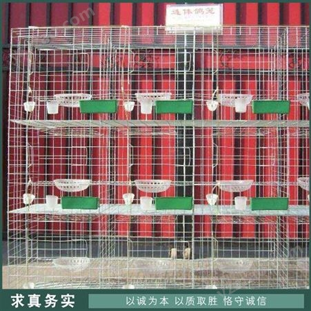 三层镀锌鸽笼 广式白鸽笼 养殖场鸽笼 出售价格