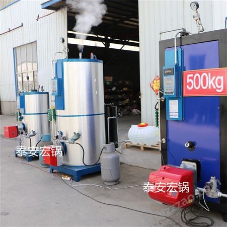 可加工定制高温蒸汽发生器 发酵配套燃油燃气蒸发器