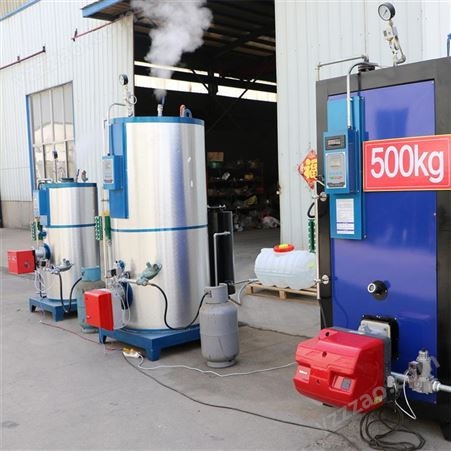 原产地发货燃气蒸汽发生器 500公斤高温燃气蒸发器