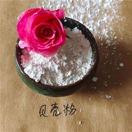 弈腾贝壳粉生产厂家 高钙饲料级贝壳粉 涂料煅烧贝壳粉 白色贝壳粉