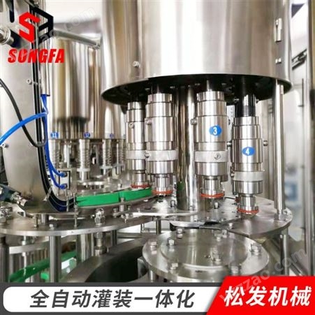 小型饮料灌装设备厂家 松发机械 小型饮料生产线