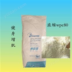 乳清蛋白粉WPC80%熱穩定濃縮乳清蛋白營養強化劑
