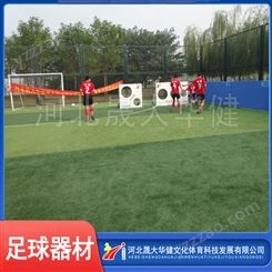 晟大华健趣味足球器材 足球青训器材 趣味足球训练器