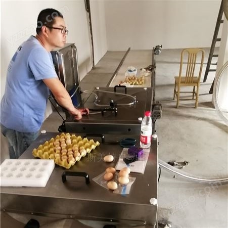 单排洗蛋机 全自动鸭蛋清洗机 洗蛋机价格 斯美特自动化 