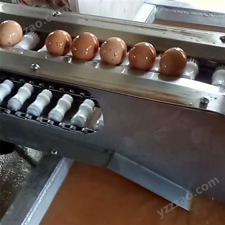 泥蛋洗蛋机清洗机 专业全自动洗蛋机 蛋品清洗加工流水线
