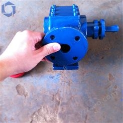 高粘度泵 齿轮泵生产厂家 圆弧齿轮泵 海德尔供应 转子泵