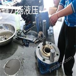 a8v107dm2r111f1北京力源液压泵厂家维修
