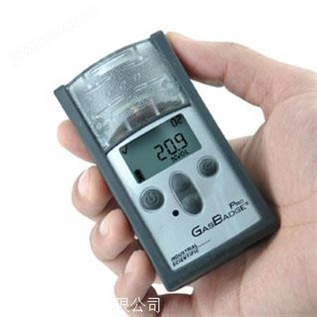 GasBadge Pro二氧化硫检测仪 GB Pro二氧化硫气体检测仪