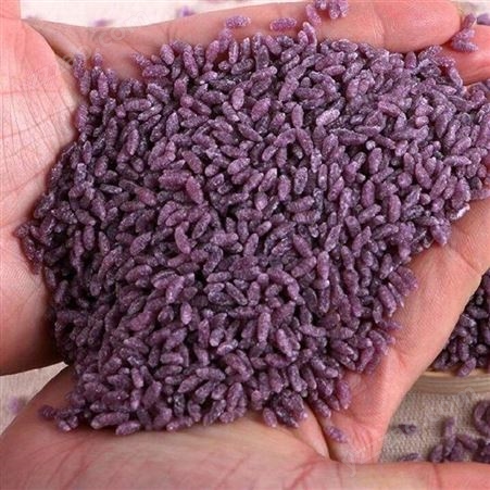 仿真营养黄金米生产设备 换进紫薯米生产线 济南比睿特机械