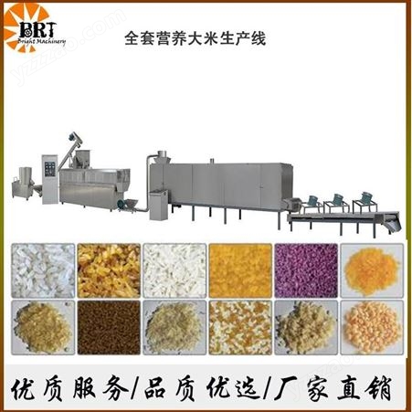 仿真营养黄金米生产设备 换进紫薯米生产线 济南比睿特机械