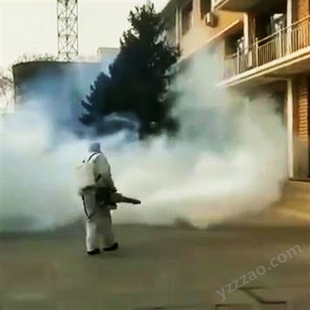 喷雾消毒机 小区工厂喷雾消毒消杀机 背负喷雾消毒机批发