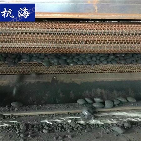  大型烘干设备 网带式煤球烘干机 杭海机械 XM-3200型煤烘干 烘干机生产厂家