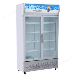 西安冷藏柜   大双门冷藏柜  西安饮料冰柜  718大双门  1200*600*2050