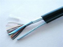 DJYP3VP3－22 3×2×1.5聚乙烯绝缘对绞铝塑复合聚氯乙烯护套钢带铠装计算机电缆