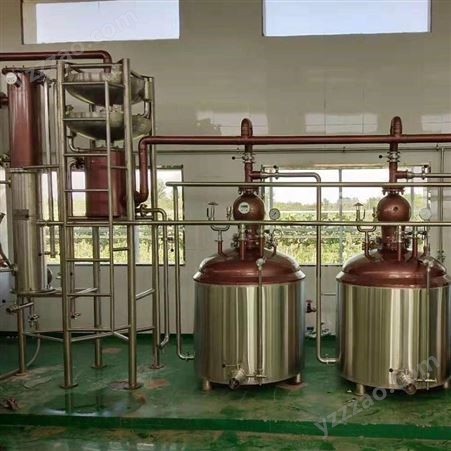 森科葡萄榨汁发酵包装-葡萄酒加工设备整线供应