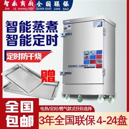 天利厨房 商用电蒸饭柜220v 380V小型盘燃气蒸馒头米饭机器