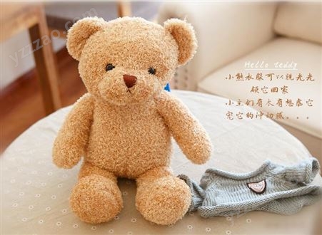 泰迪熊毛绒玩具定制订做大号玩偶经典熊公仔抱枕加工