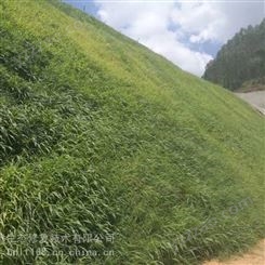 沧州法国爱森边坡生态防护土壤粘合剂销售商