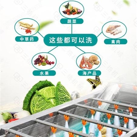 斯格数控气泡清洗线 蔬菜水果清洗 SG-100型 效率高