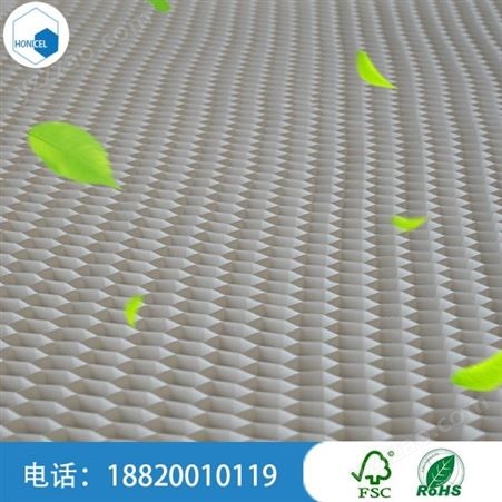 广州塑性蜂窝芯材 PET高铁塑料蜂窝板厂家