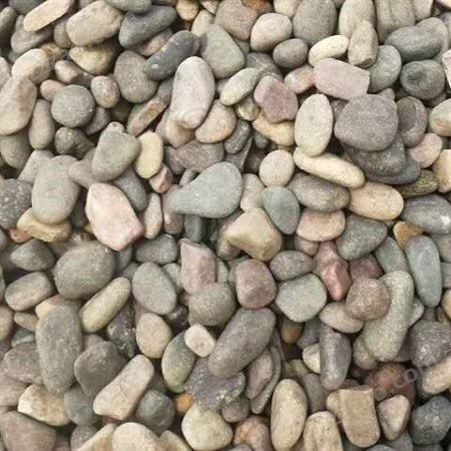 鹅卵石 黑色 天然纯色石头 变压器鹅卵石厂家价格现货鹅卵石 博凯隆