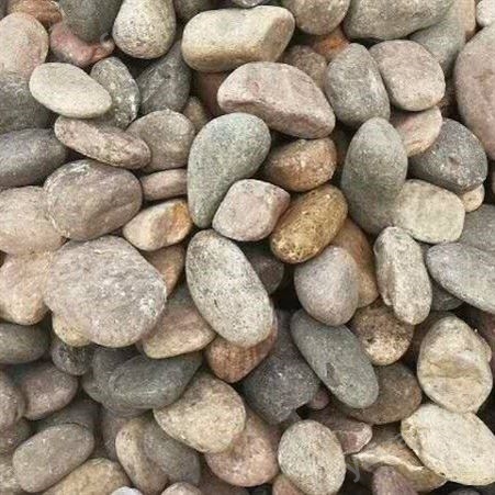 鹅卵石 黑色 天然纯色石头 变压器鹅卵石厂家价格现货鹅卵石 博凯隆
