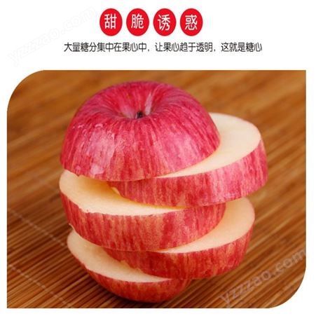 红富士苹果批发 早熟苹果糖分高 烟台栖霞苹果行情 裕顺个大果正