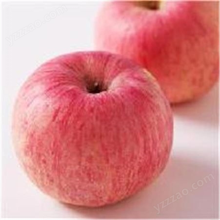 冷库红富士批发 当季新鲜苹果 好吃的苹果 裕顺批发发货快