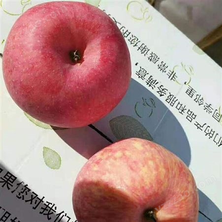 新鲜苹果价格 烟台冷库苹果采购 纸袋红富士价格很好 裕顺香甜可口欢迎采购