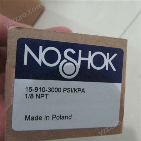 NOSHOK指示表300-1-2-15/225-8