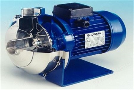 意大利罗瓦拉（LOWARA）水泵