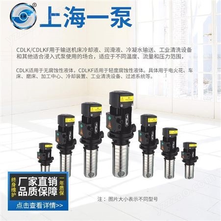CDLK/CDLKF上海一泵CDLK-CDLKF浸入式多级泵轻型多级泵立式管道不锈钢多级泵