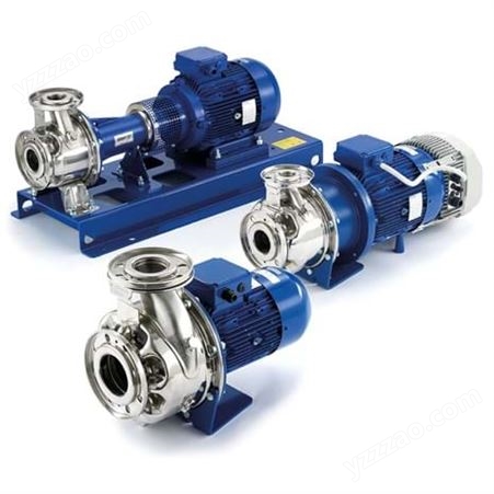 意大利LOWARA不锈钢水泵  LOWARA多级泵10SV03F011T  10SV04F015T  10SV05F022T