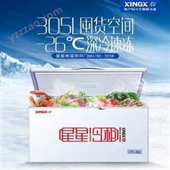 星星冷柜 商用 ZT166大容量冷柜小型冰箱卧式冷藏冷冻柜星星