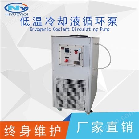上海厂家 DLSB-20L/10冷凝水循环机 超级恒温水槽 低温循环槽 价格 低温冷却泵