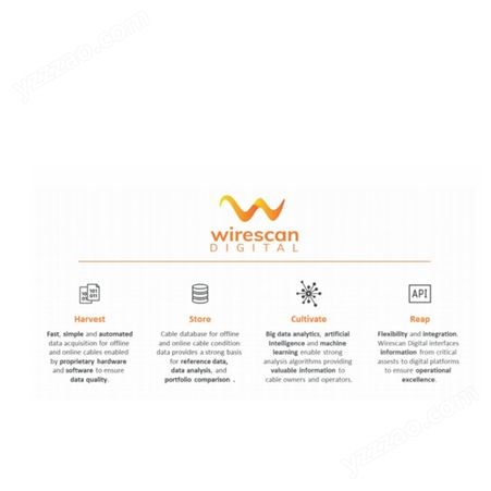 赫尔纳供应Wirescan线性共振分析仪