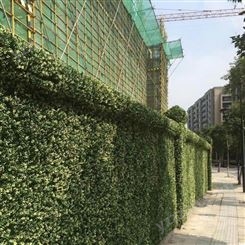 上海室内植物墙批发价格绿墙