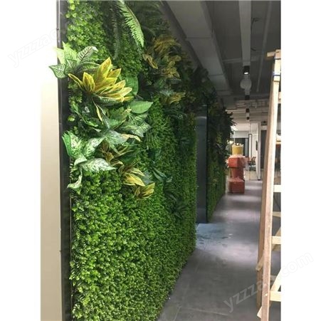 生态墙植物 北京家居生态植物墙制造