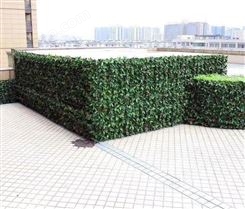 上海写字楼植物墙施工 仿真绿植墙设计