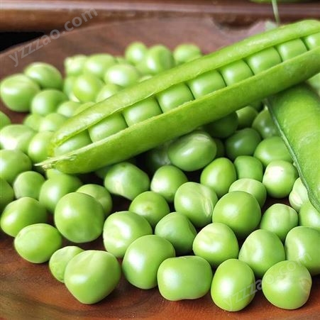 青豌豆 清甜速冻青豆 非甜豌豆轻食原材料绿色蔬菜