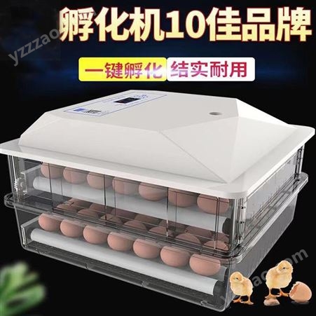 中禧机械 56枚孵化器 智能小型孵蛋器 产品信息图片