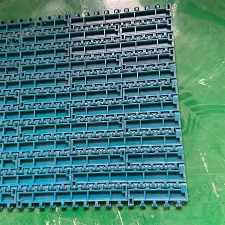 祥海塑料输送线 塑料网带定制生产厂家 质量放心