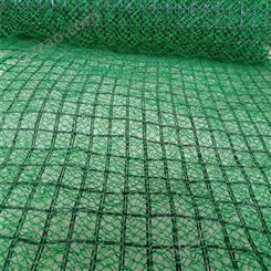 护坡植草绿化用EM3三维植被网  三维网 润泽土工网垫